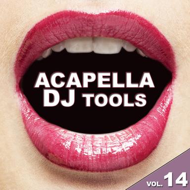 Shake Crazy Horse - DJ Tool 2