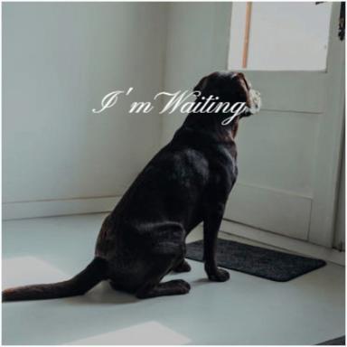 There Is Nothing