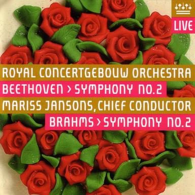 Symphony No. 2 in D major, op. 73: IV. Allegro con spirito