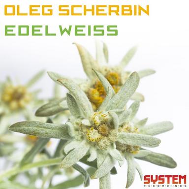 OS
