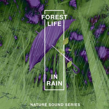 Autumn Rainfall Bird Song