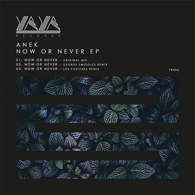 Now Or Never