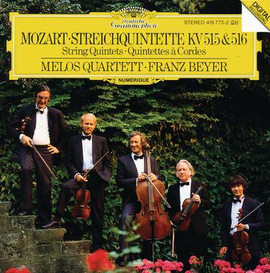 String Quintet No. 3 in G minor, K.516: 1. Allegro
