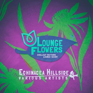 Polardreams