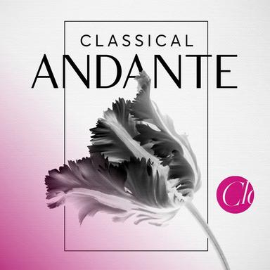Oboe Concerto in D Major, HauH 5.3: II. Andante (Arr. for Trumpet)