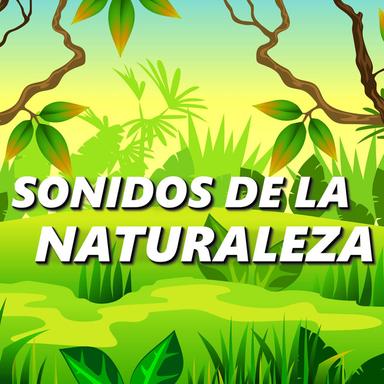 Sonidos Relajantes
