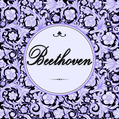Sonata No. 9 in E, Op. 14 No. 1: 2nd Movement