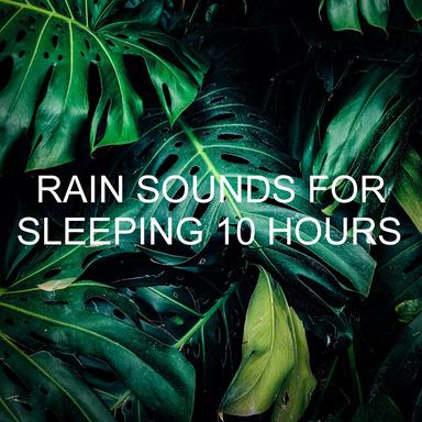 Rain Sounds