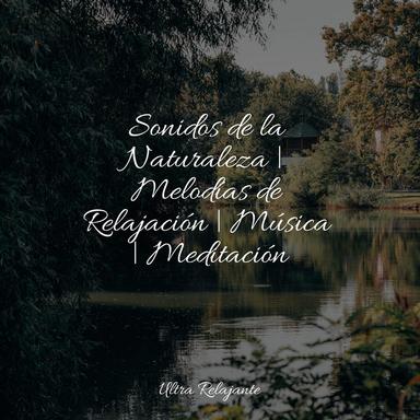 Sueños Del Norte