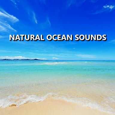 Idyllic Seashore Ocean Sounds