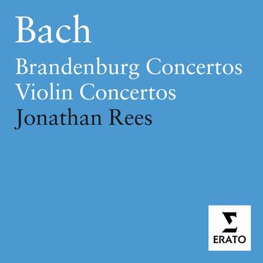 Bach, JS: Concerto for Two Violins in D Minor, BWV 1043: II. Largo ma non tanto