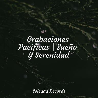Claves Tranquilas