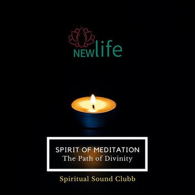 Pure & Serene Life - Original Mix