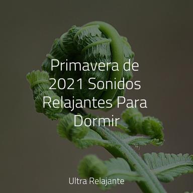 Armonía Sin Fin