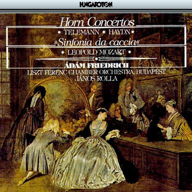 Horn Concerto in D Major, TWV 51:D8: II. Largo