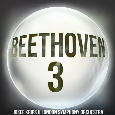 Symphony No. 3 in E-Flat Major, Op. 55, "Eroica": II. Marcia funebre: Adagio assai