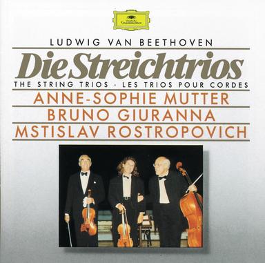String Trio in E-Flat Major, Op. 3: 3. Menuetto. Allegretto