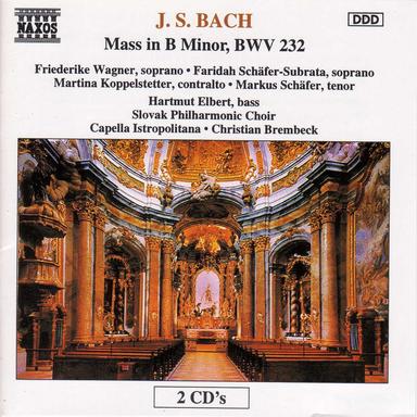 IVc. Agnus Dei
