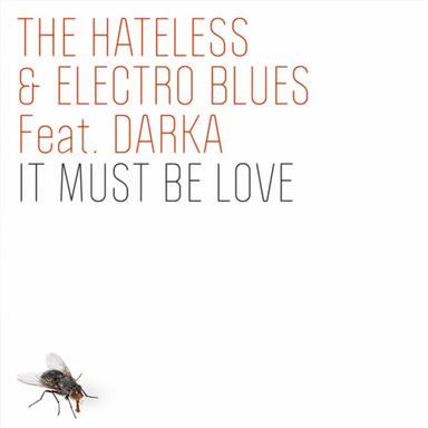 It Must Be Love - Electro Blues Acoustic Version
