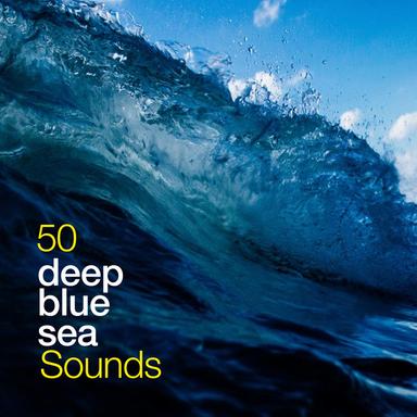 Waves With Meditation Tone