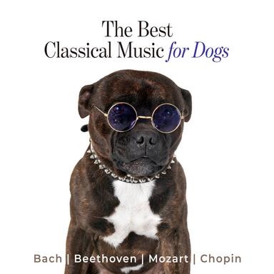 Beethoven - Für Elise
