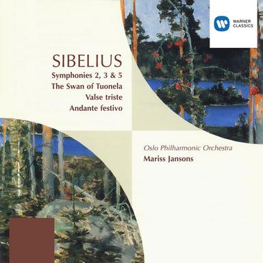 Sibelius: Symphony No. 2 in D Major, Op. 43: II. Tempo andante, ma rubato