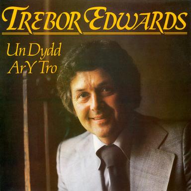 Un dydd ar y tro
