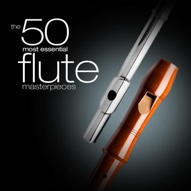 Concerto in D Major for Recorder and Strings, RV 428, "Il gardellino": II. Cantabile