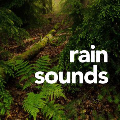 Rain Sounds