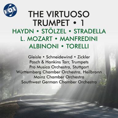 Trumpet Concerto in E-Flat Major, Hob. VIIe:1: II. Andante