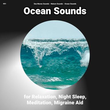 Miraculous Ambience