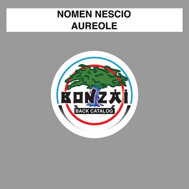 NN