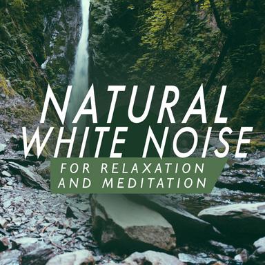 White Noise: Rain Shower