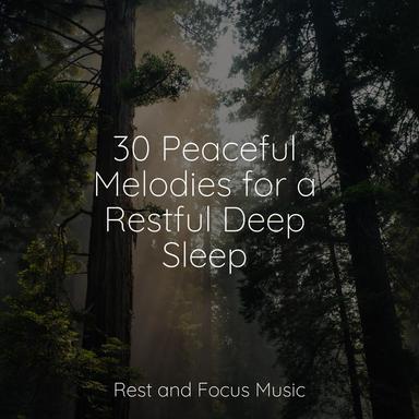 Stillness