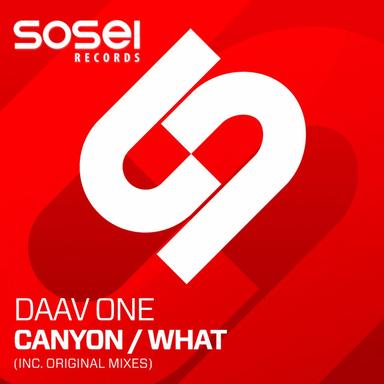 What - Original Mix