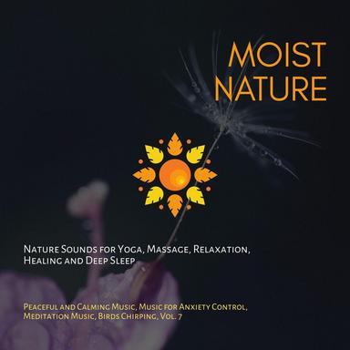 Deep Sleep Relaxation