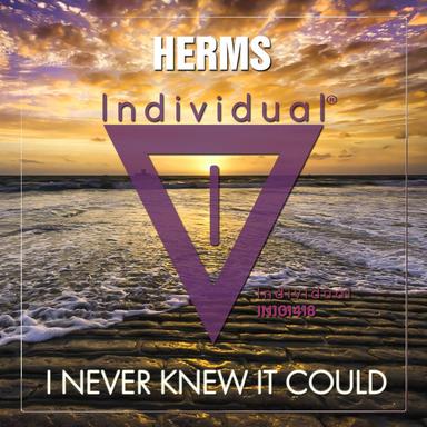 I Never Knew It Could - Radio edit