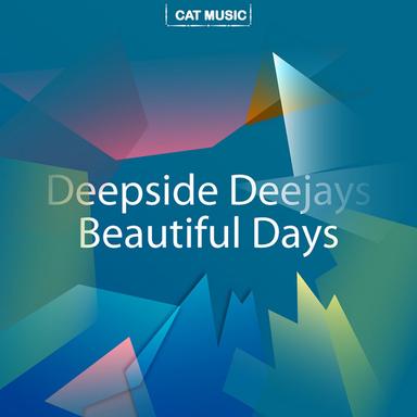 Beautiful Days (Mowree Remix)