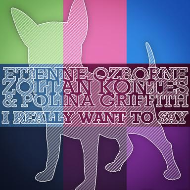 I Really Want to Say - Edmond Dantes Remix