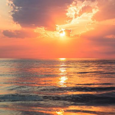 Wonder Serenity