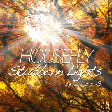 Stubborn Lights