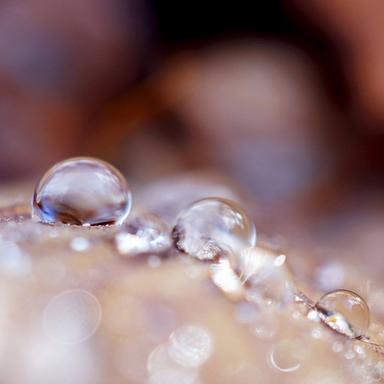 Water Trickle