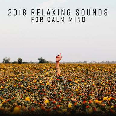 Positive Vibes
