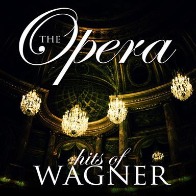 Wesendonk Lieder - Five Poems for Female Voice : Schmerzen
