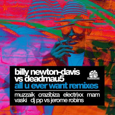 All You Ever Want - DJ PP Vs Jerome Robins Dub Mix