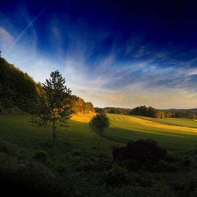 Warm Sunset