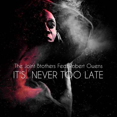 It's Never Too Late - Tribe Mix