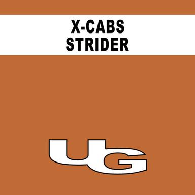 Strider - Bolan Mix
