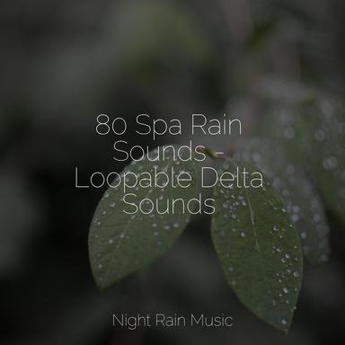 Soothing Beach Ambience (Gentle Waves)
