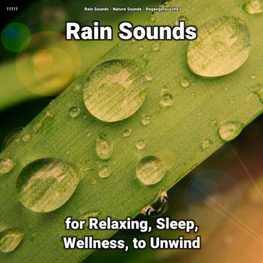 Unwinding Ambient Soundscapes
